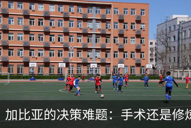 加比亚的决策难题：手术还是修炼？
